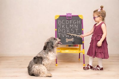 Imagen de una niña enseñando algo a un perro.