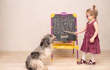 Imagen de una niña enseñando algo a un perro.