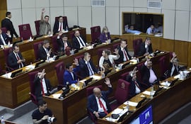 Bancada colorada votando en el Senado.