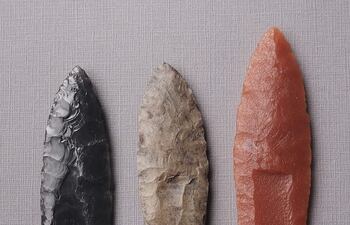 Las puntas Clovis se distinguen, en parte, por su característica cicatriz en forma de flauta cerca de la base, como se muestra en estas réplicas. Investigadores de la Universidad de Berkeley estudiaron cómo las puntas formaban parte de un sistema y se utilizaban para cazar grandes animales en la Edad de Hielo.