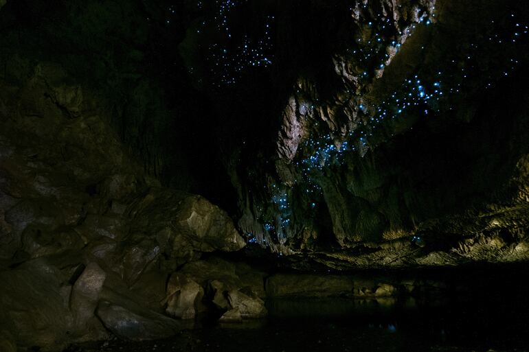 Glowworm Caves, Waitomo, Nueva Zelanda.