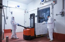 Cámara frigorífica de carne