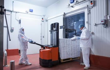 Cámara frigorífica de carne