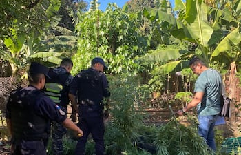 Efectivos de la Comisaría Primera, junto al asistente fiscal de la Unidad Especializada de Lucha contra el Microtráfico, durante el allanamiento y la eliminación de plantines de marihuana.