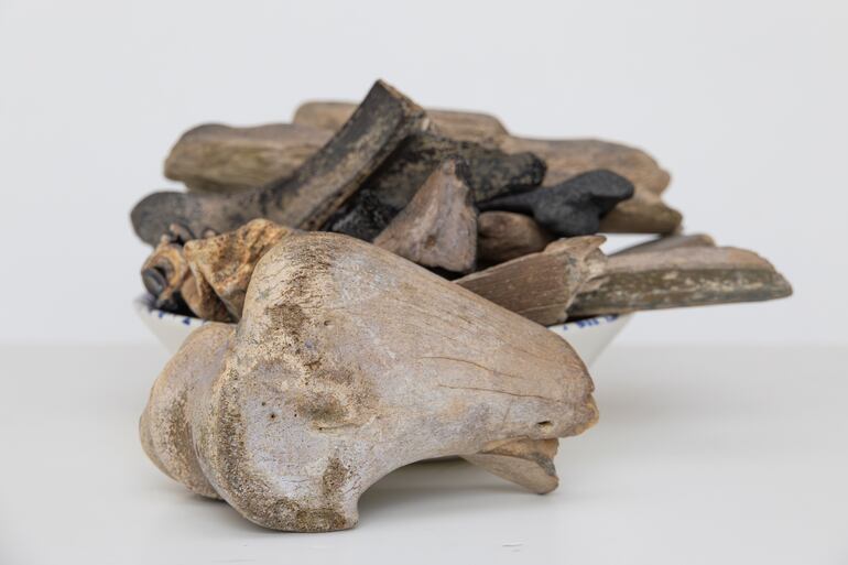 Fósiles prehistóricos de dientes y huesos de megafauna en los Doggerland.
