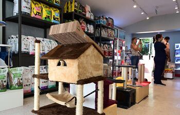 En Cat Town se pueden encontrar accesorios y juguetes para gatos.