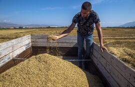 Un total de 33 barcos han utilizado ya para entrar en puertos ucranianos el corredor marítimo del Mar Negro abierto de manera unilateral por Ucrania en desafío del bloqueo a este mar interior declarado por Rusia este mes de julio, según cálculos publicados hoy por el Centro para las Estrategias de Transporte de Kiev.