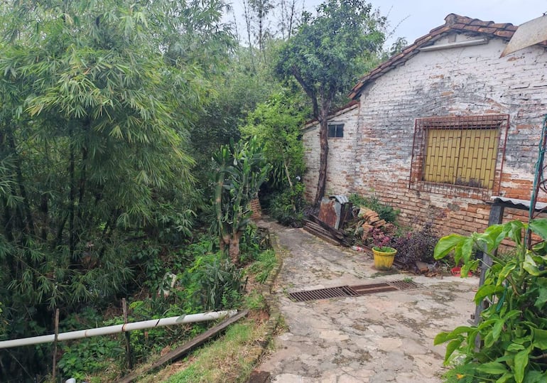 Estructura de ladrillo deteriorada junto a vegetación densa en un ambiente rural tranquilo.