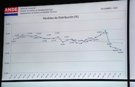 Las pérdidas de distribución de la ANDE en porcentaje. No incluye las pérdidas por transmisión.