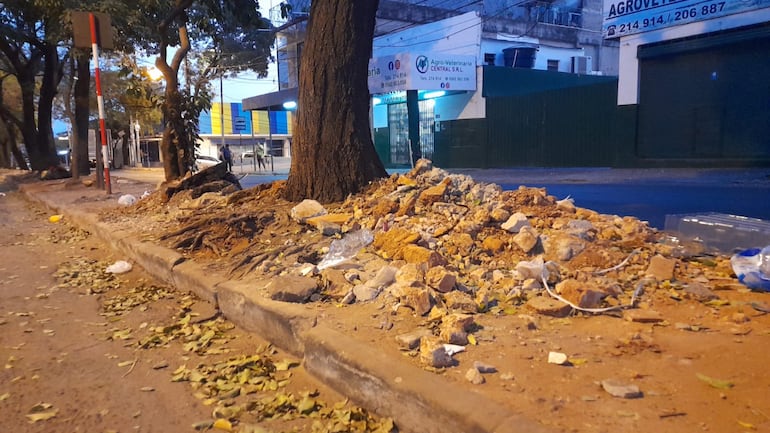 Paseo central de la avenida Rodríguez de Francia en calamitoso estado. "Una foto - del hoy lunes 7 de agosto - vale más que mil palabras".