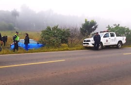 Debido a la densa niebla conductora perdió el control de su vehículo y fue a parar a la cuneta en Carapeguá.