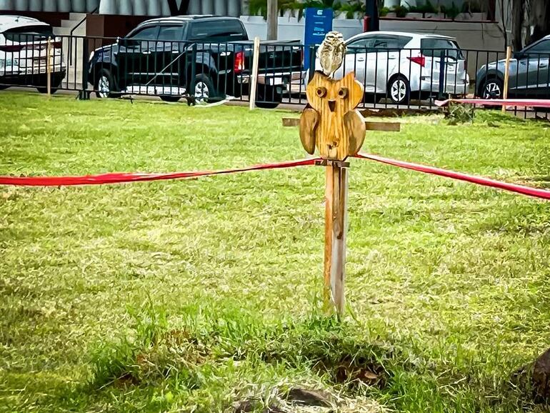 En el marco de la primera jornada del Rally Mundial en Paraguay, el Mades rescató a un búho y señalizó los espacios donde habitan.