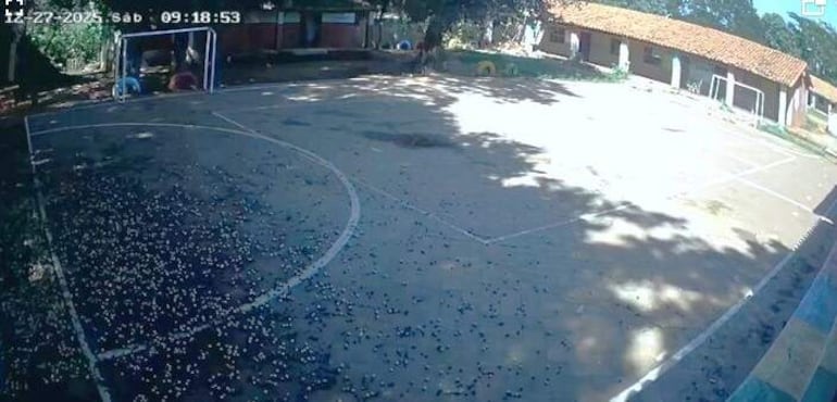 La foto del circuito cerrado captó el momento en que se derrumbó la estructura del sector izquierdo del pabellón de la escuela.