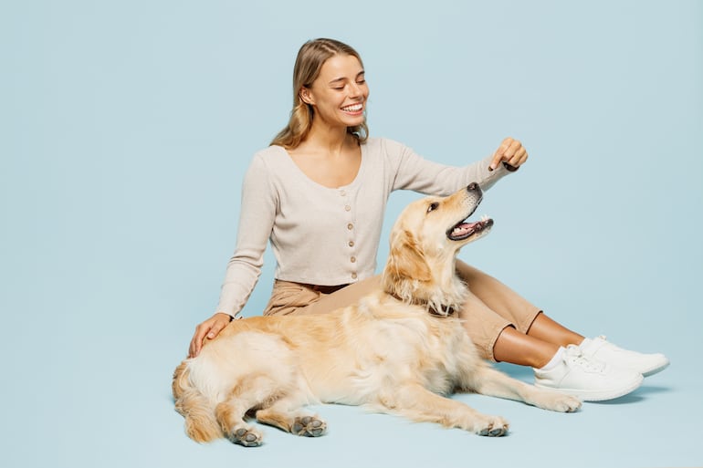 Perro disfruta cuando le tocan encima de la cola, imagen ilustrativa.