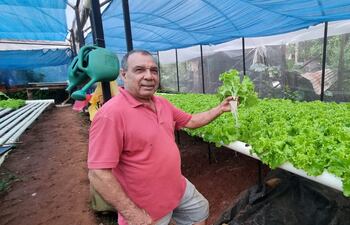 Lorenzo Cardozo y su familia iniciaron con producción de lechugas con el método hidropónico hace 7 años en la ciudad de San Juan Bautista, Misiones.