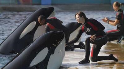 /pf/resources/images/abc-placeholder.png?d=2437