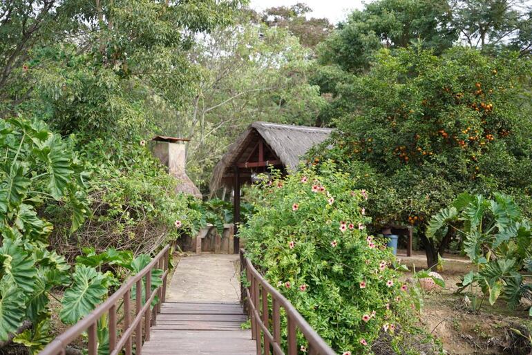 Alte Lieve, un lugar hermoso para visitar en Coronel Oviedo.