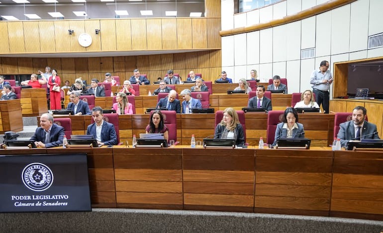 Equipo t&eacute;cnico del MEF en el Senado