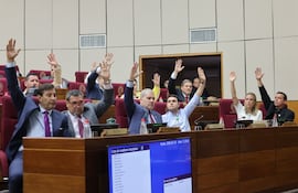 Senadores resolvieron postergar tratamiento de la reforma de la Caja