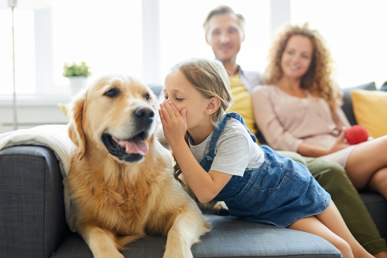 Niña habla a su perro golden retriever.