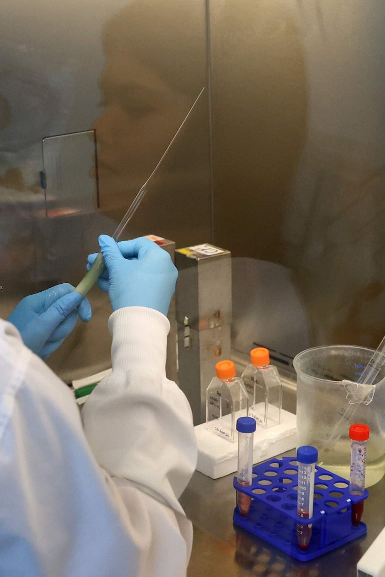 Una estudiante realizando procesos de análisis en los laboratorios del Instituto de Investigaciones Científicas y Servicios de Alta Tecnología de Panamá (Indicasat-AIP) en Ciudad de Panamá (Panamá).