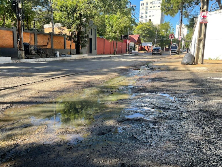 Calle desierta con charco de agua reflejando luz, vegetación y edificios modernos alrededor.