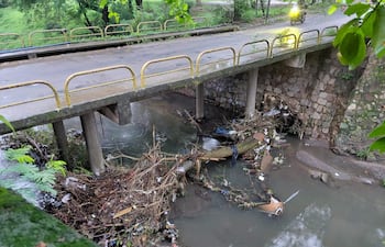 Puente de concreto con barandas amarillas sobre agua contaminada y vegetación, en un entorno natural denso y descuidado.