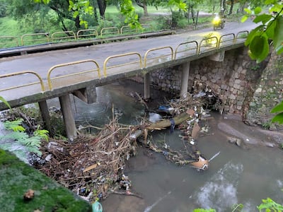 Puente de concreto con barandas amarillas sobre agua contaminada y vegetación, en un entorno natural denso y descuidado.