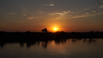 Amanecer sobre un cuerpo de agua con árboles en la orilla y rayos de luz dorados reflejando en la superficie.