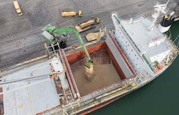 De la chacra al barco: los US$ 80 que pesan sobre cada tonelada