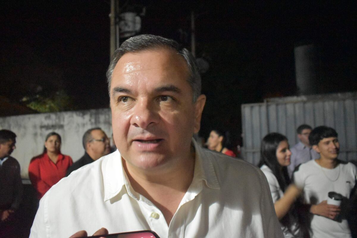 Partido Colorado busca conquistar los 10 municipios de Misiones, dice diputado