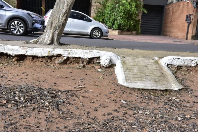 Escena urbana con acera dañada y árboles; dos vehículos estacionados en un entorno residencial.