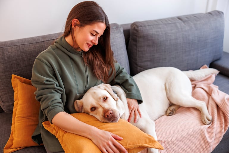 ¿Tu perro apoya su cabeza en tu regazo?