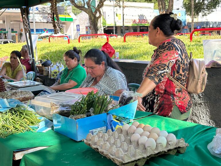 Feria agroecológica: proyecto de Pastoral Social para fortalecer la agricultura familiar en Itapúa