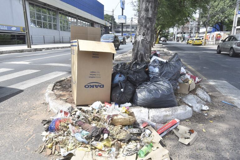 Crisis de la basura vuelve a inundar de desperdicios dos barrios de Asunción