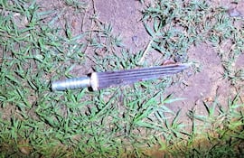 El arma utilizada para cometer el doble crimen en Bella Vista Norte, fue incautada por los agentes policiales de la zona.