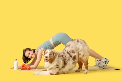 Yoga con perros.