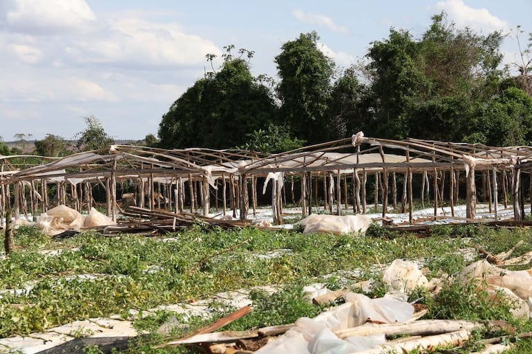 El ministro reconoció que Paraguay no cuenta con un sistema para reducir los daños del granizo. Foto: Gentileza MAG.