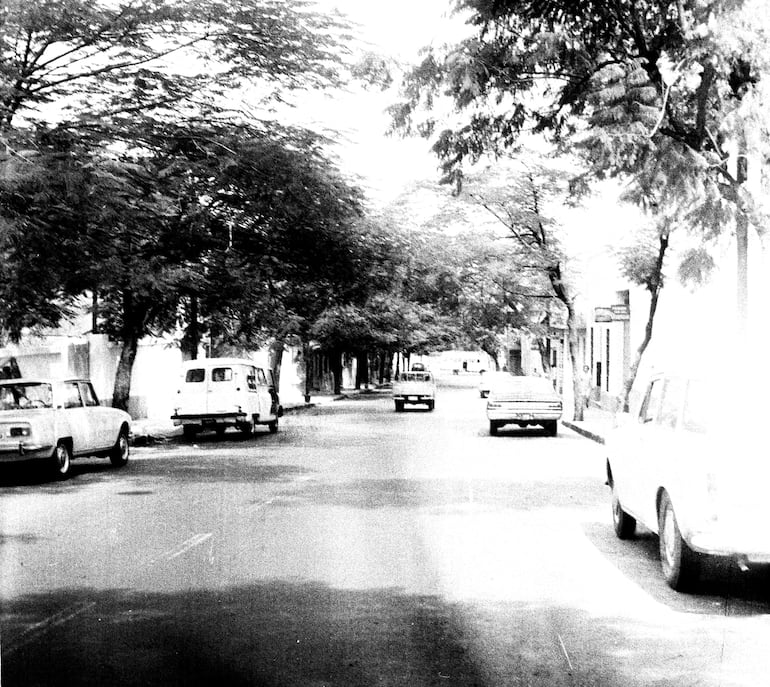 Árboles en las calles de Asunción en 1970.