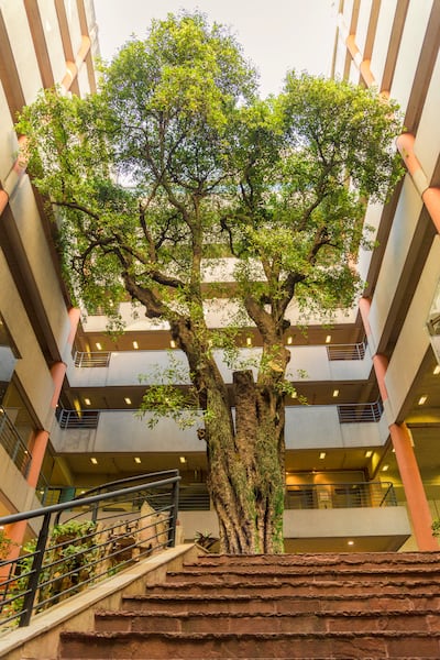 La UAA entre las mejores del mundo.