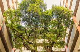 La UAA entre las mejores del mundo.