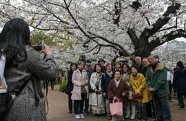 Una mujer se ofrece a tomar una foto de un grupo de visitantes en el Parque Kudanzaka mientras la temporada de observación de los cerezos en flor comienza a pleno en el centro de Tokio el 31 de marzo de 2025.