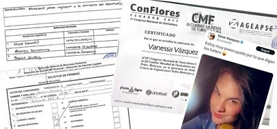 La funcionaria de Diputados, Vanessa Vázquez González presenta llamativos elementos en su legajo.