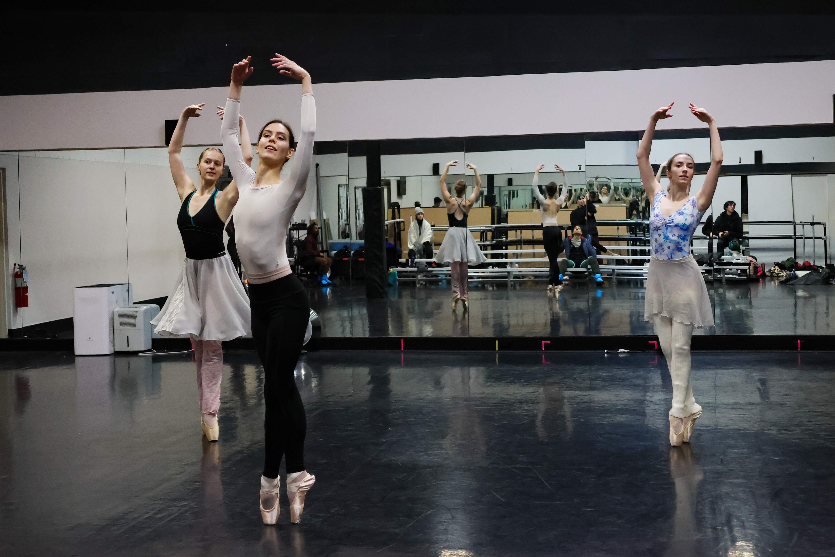 El mainumby despliega sus alas con el Ballet Theatre of Maryland