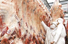 Carnes, cereales, granos de soja y derivados concentran mayor parte de exportaciones.