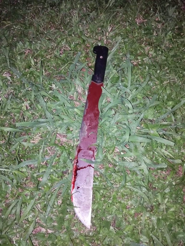 Machete de acero con mango negro, manchado de sangre, reposando sobre césped en un entorno natural.