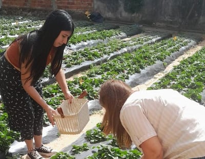 Productores destacan el valor de la huerta familiar y solicitan mayor respaldo de las autoridades.
