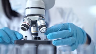 Laboratorio con microscopio, imagen ilustrativa.