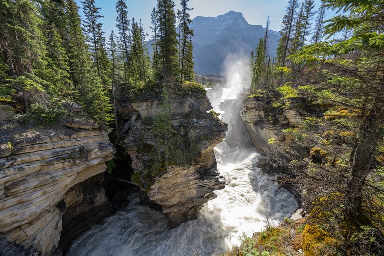 Paisaje en Athabasca Falls, Canadá.