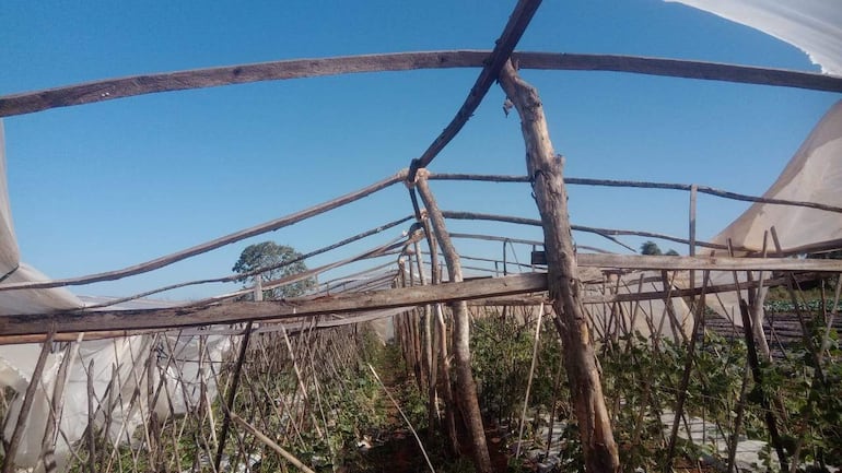Invernadero con estructuras de madera y plásticos translúcidos en un entorno agrícola, sin personas presentes.